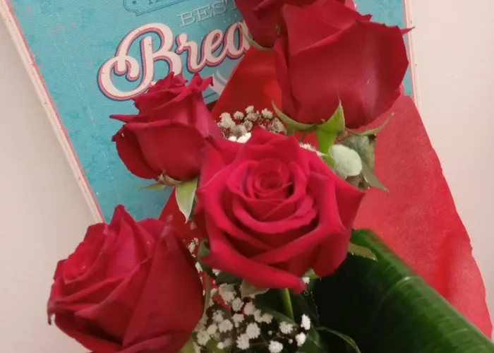 Bed & Breakfast Antonella Bari