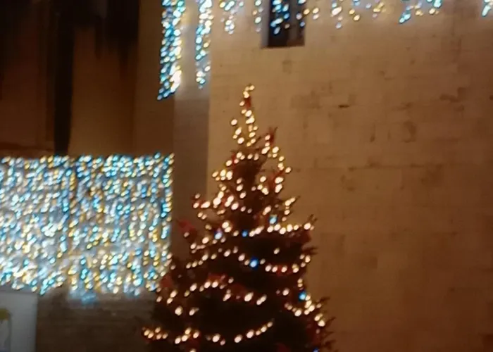 Antonella Bed & Breakfast 4*